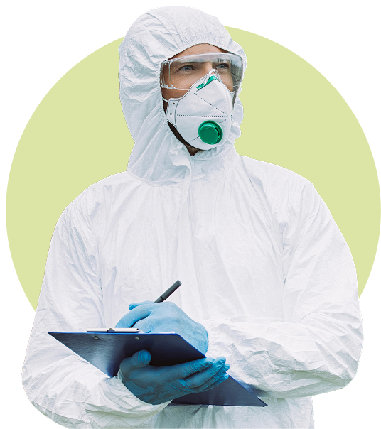 Control de plagas en madrid hombre