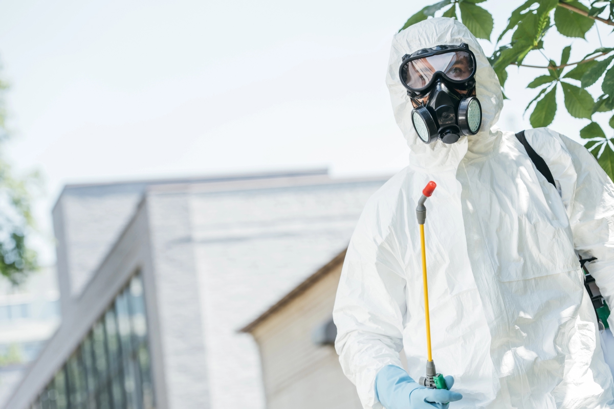 Cómo proteger tu espacio de plagas con soluciones efectivas y seguras